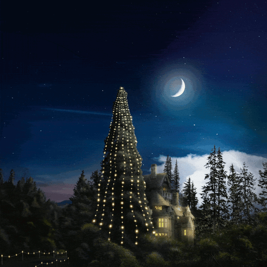 Illuminating the UK's Tallest Living Christmas Tree at National Trust - Cragside